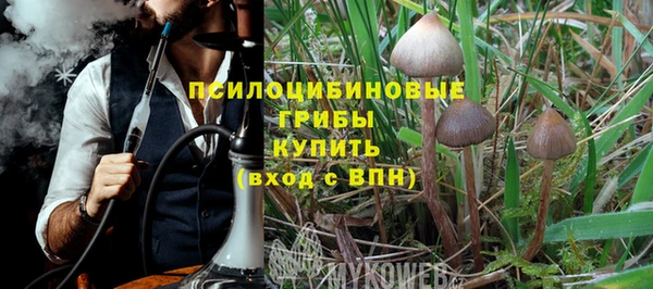 молекула духа Лихославль