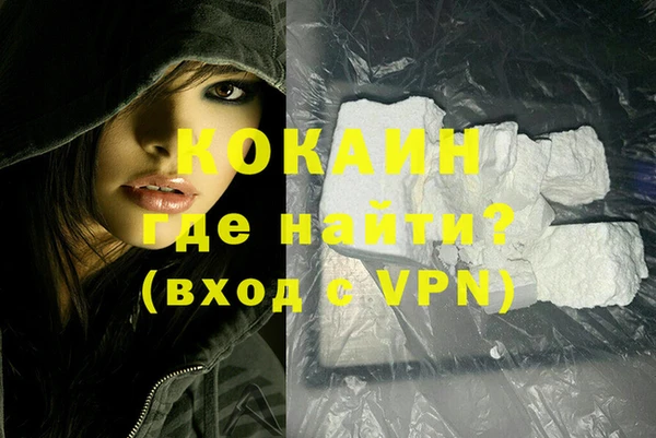 индика Лабытнанги