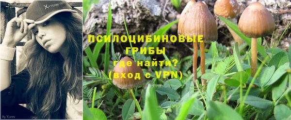 альфа пвп Магадан