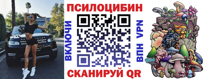 Псилоцибиновые грибы Cubensis  Ленинск 